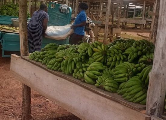 ghana/accra/east-legon/shop/unison-shop
