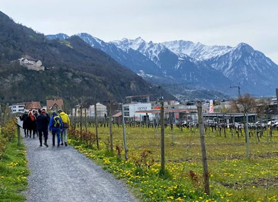 liechtenstein/gamprin-region/shop/cellars-of-the-prince-of-liechtenstein