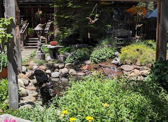 california/lake-tahoe/shop/jai-yen