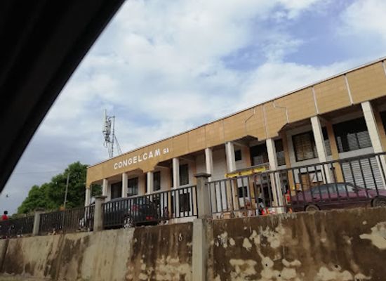 cameroon/bafia/shop/congelcam-bafia