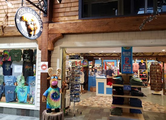 canada/halifax/north-end-halifax/shop/cool-as-a-moose