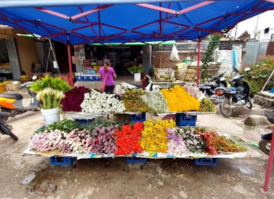 myanmar-burma/kalaw/shop/an-an-pan-sein