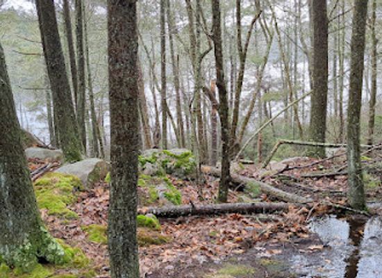 rhode-island/arcadia-management-area/shop/arcadia-management-area