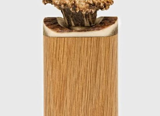united-kingdom/argyllshire/shop/antler-sgian-dubhs