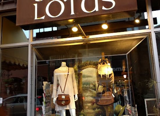 canada/winnipeg/osborne-village/shop/silver-lotus
