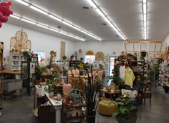 iowa/cedar-valley/shop/223-vintage-co