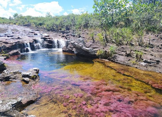 colombia/cano-cristales/shop/cano-cristales