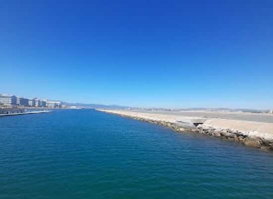 gibraltar/western-beach/shop/dolphin-adventure