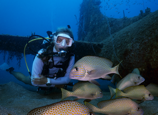 solomon-islands/shortland-islands/shop/dive-munda