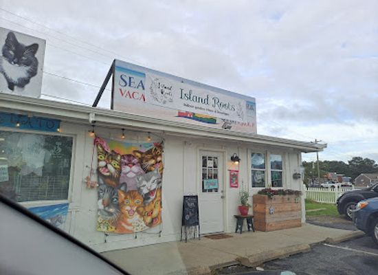 virginia/chincoteague-island/shop/tom-s-beach-supply