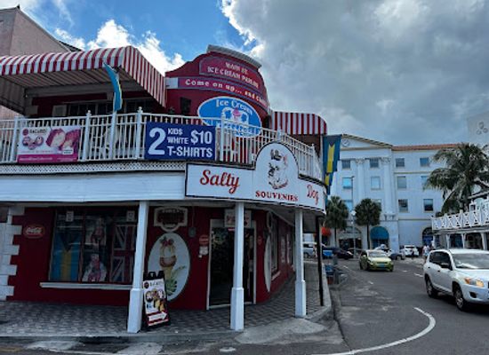 the-bahamas/nassau/shop/salty-souvenirs-dog
