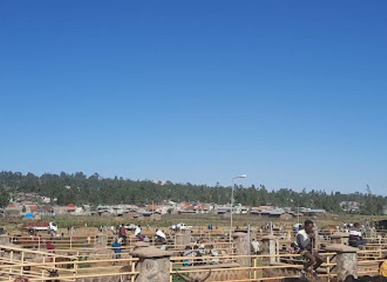 ethiopia/debre-markos/shop/wuseta-marketing-center