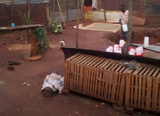 burundi/rutana/shop/davines-farm