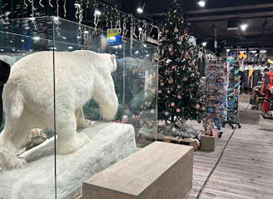 norway/troms/shop/tourist-shop-tromso