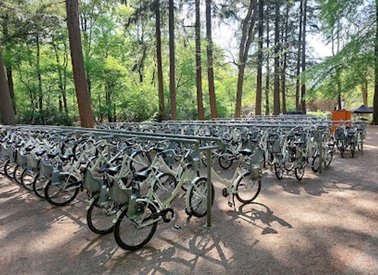 netherlands/hoge-veluwe-national-park/shop/ingang-otterlo-nationaal-park-de-hoge-veluwe