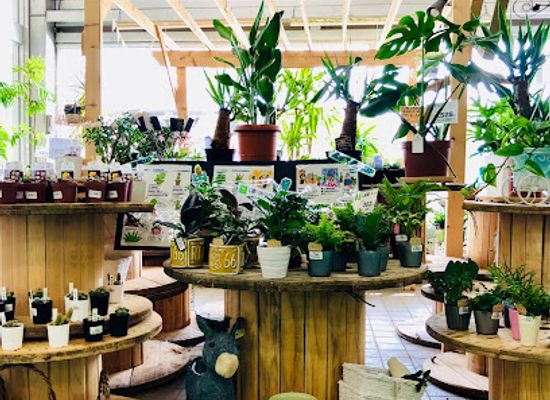 japan/aki/shop/marni-akiten-home-improvement