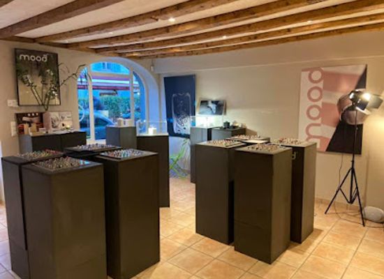 switzerland/geneva/carouge/shop/atelier-boutique-mood-store-carouge