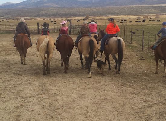nevada/ruby-mountains/shop/nevada-high-desert-outfitters