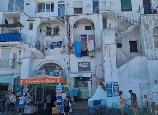 italy/capri/shop/il-cavalluccio-marino-di-lauro-raffaella-e-c-s-n-c
