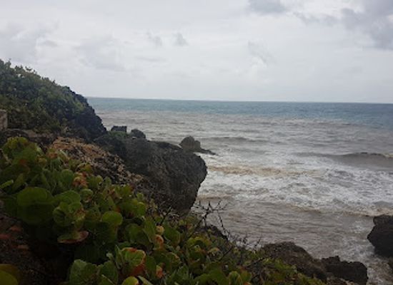 barbados/bathsheba/shop/cleaver-s-hill-supermarket-inc