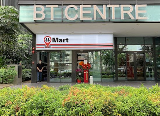 singapore/balestier/shop/bt-centre