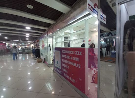 chile/concepcion/shop/feriageek-store