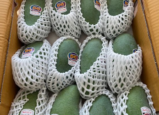 japan/chubu/shop/xuan-shop-viet-nhat-shin-sakae-nagoya