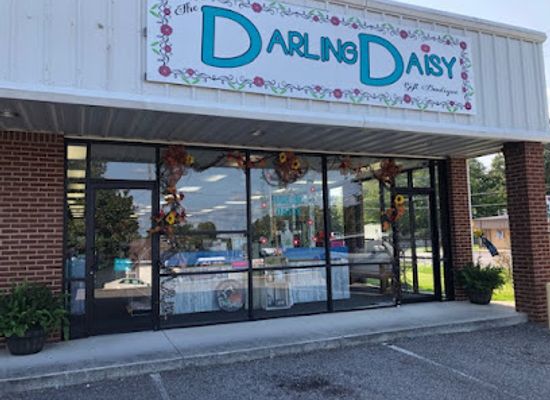 alabama/sipsey-wilderness/shop/the-darling-daisy