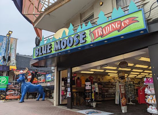 canada/niagara-falls/shop/blue-moose-trading-and-blue-moose-toys