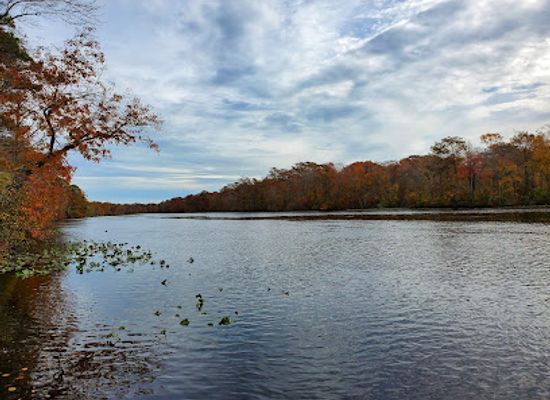 maryland/pocomoke-river-state-park/shop/pocomoke-river-state-park-milburn-landing