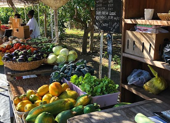 saint-kitts-and-nevis/saint-george-basseterre-parish/shop/coconut-farm