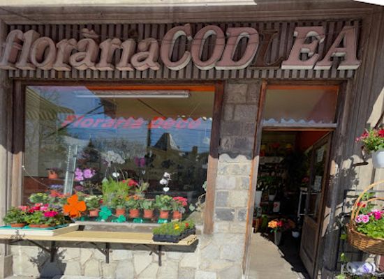 romania/bucegi-mountains/shop/floraria-codlea