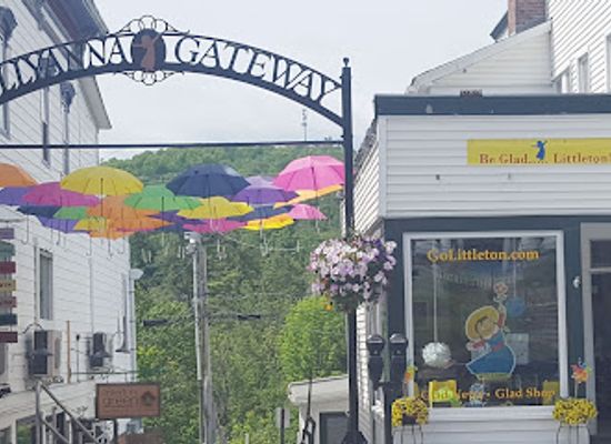 new-hampshire/grafton-county/shop/golittleton-glad-shop