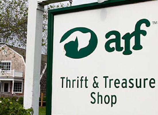 new-york/the-hamptons/shop/arf-thrift-treasure-shop