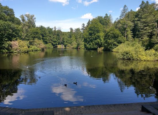 netherlands/gelderland/shop/nationaal-park-veluwezoom