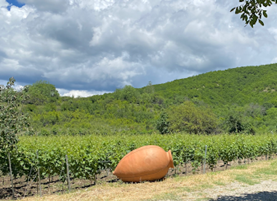 georgia/kakheti/shop/vellino-wine-cellar