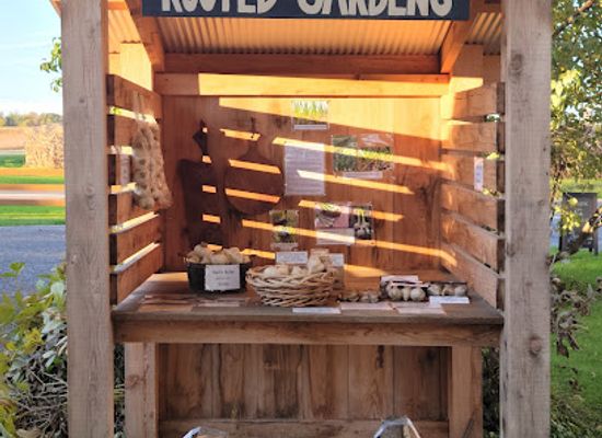 new-york/finger-lakes-region/shop/spotted-duck