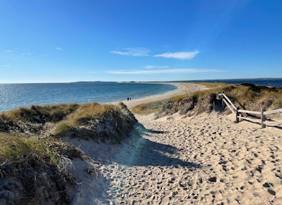 rhode-island/napatree-point-conservation-area/shop/napatree-point-conservation-area