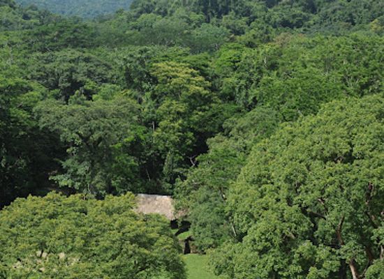 mexico/lacandon-jungle/shop/bonampak