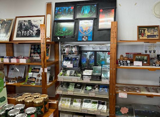 japan/yakushima/shop/shibamin-craft-store