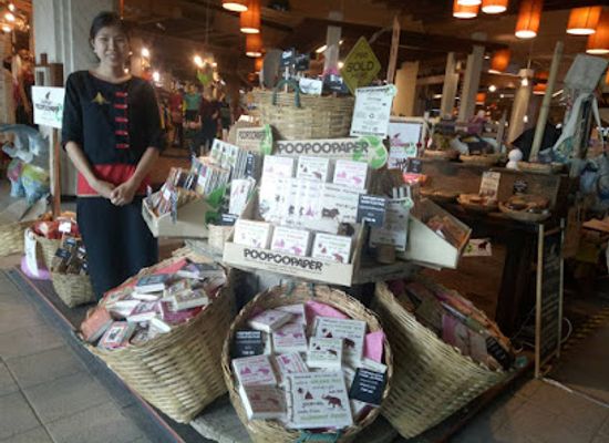 thailand/chiang-mai/shop/the-elephant-poopoopaper-store-northern-village-central-airport-plaza