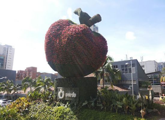 colombia/insular-region/shop/oviedo