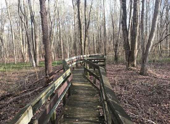delaware/lums-pond-state-park/shop/lums-pond-nature-center