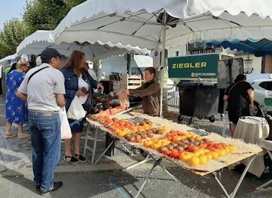 france/normandy/shop/trouville-sur-mer-market
