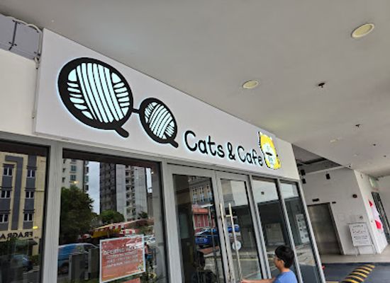 singapore/balestier/shop/qq-cats-and-cafe