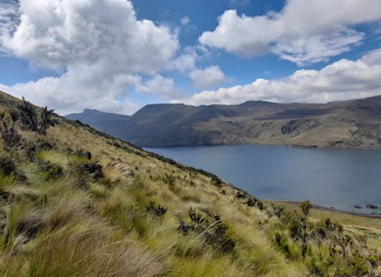 ecuador/cuyabeno-wildlife-reserve/shop/reserva-ecologica-antisana