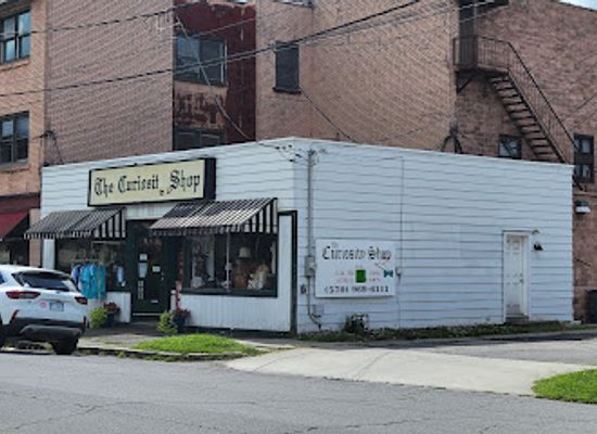 pennsylvania/northwestern-pennsylvania/shop/curiosity-shop