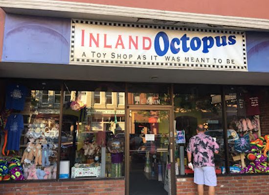 washington/the-blue-mountains/shop/inland-octopus