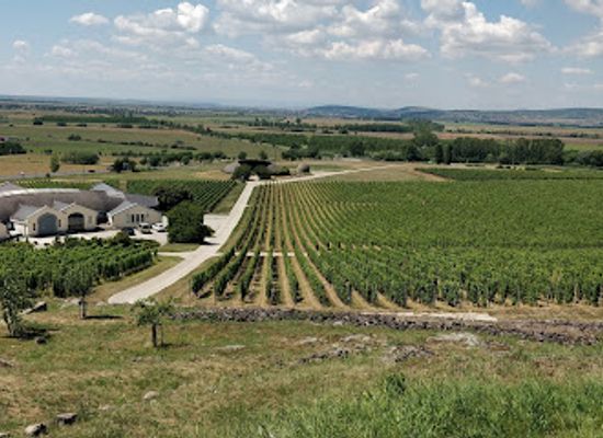 hungary/tokaj-wine-region/shop/tokaj-disznoko-vineyards-and-winery-plc