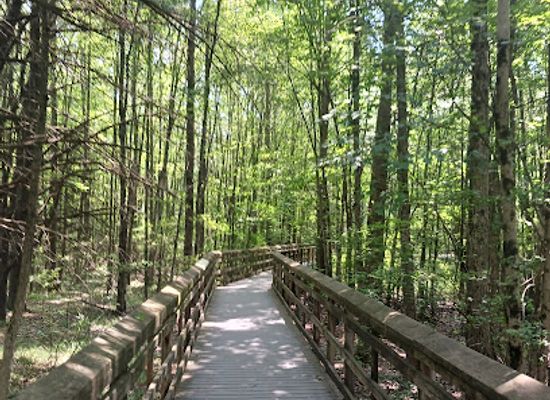 new-jersey/great-swamp-national-wildlife-refuge/shop/great-swamp-wildlife-observation-center